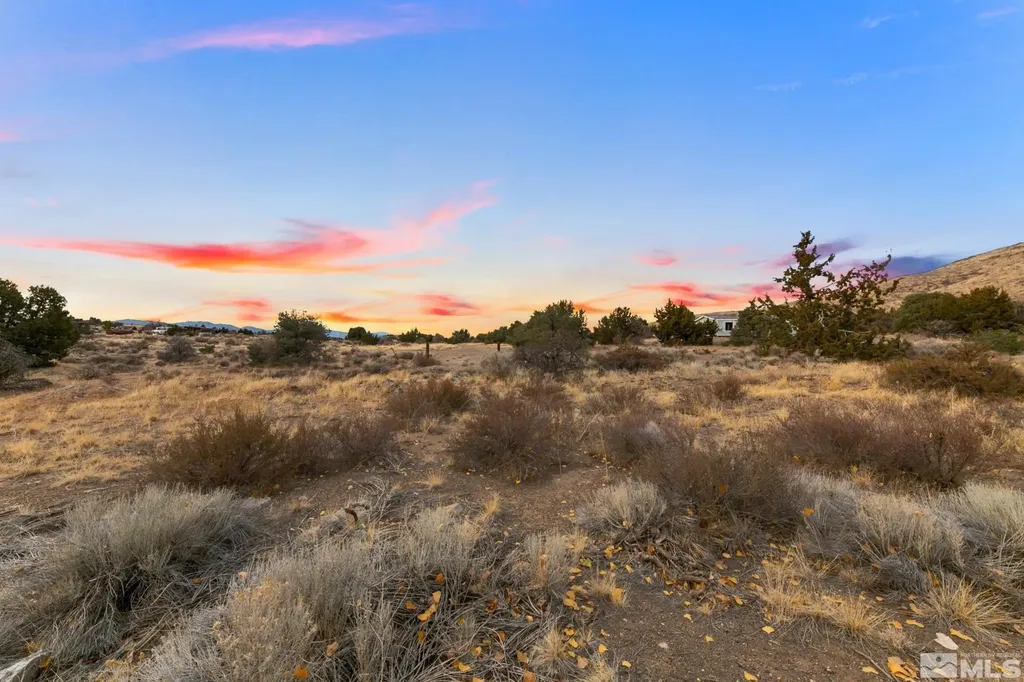 10 Conner Gardnerville NV 89410