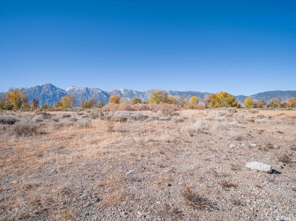 1300 Centerville Gardnerville NV 89410