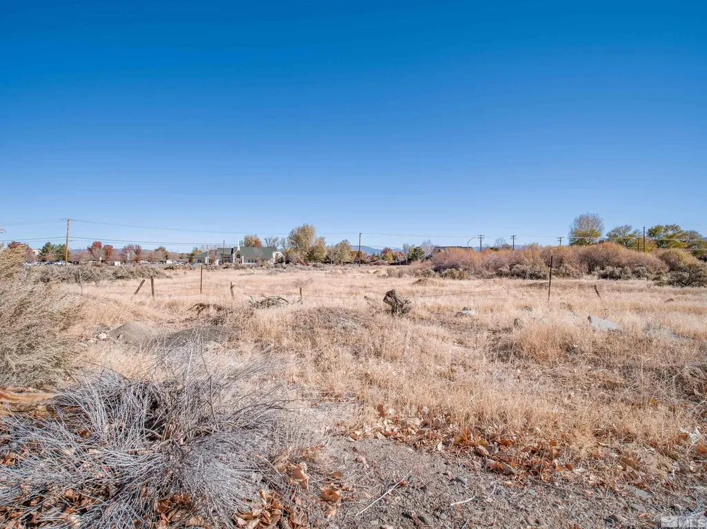 1300 Centerville Gardnerville NV 89410