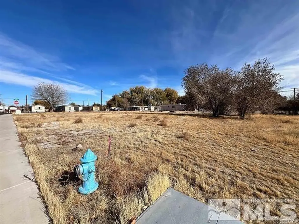 321 Silver Spur Fallon NV 89406