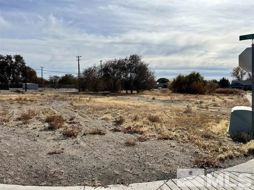 321 Silver Spur Fallon NV 89406
