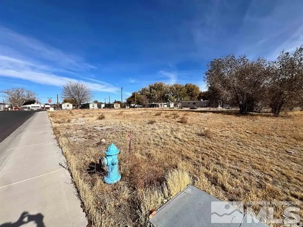 321 Silver Spur Fallon NV 89406