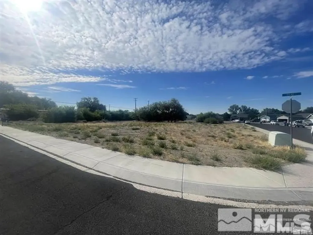 321 Silver Spur Fallon NV 89406