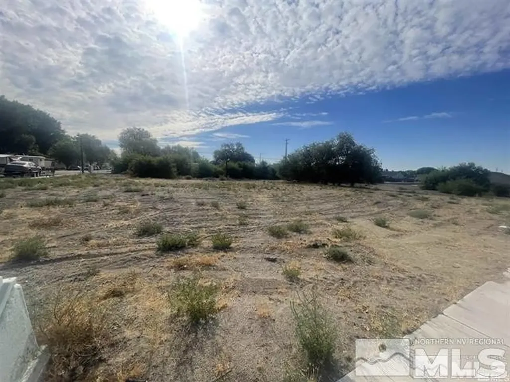 321 Silver Spur Fallon NV 89406