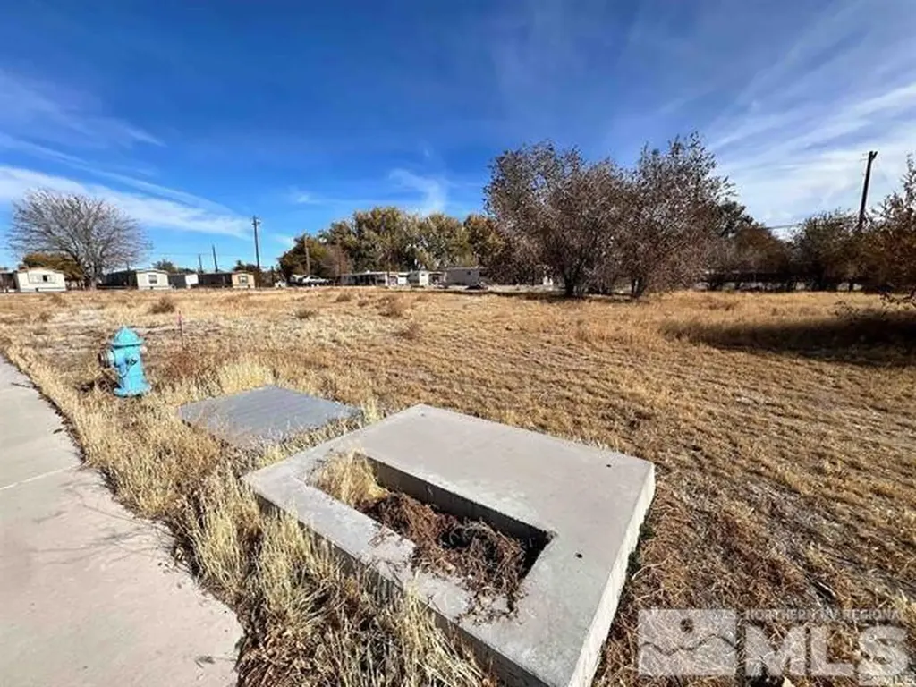 321 Silver Spur Fallon NV 89406
