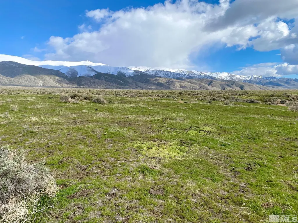 11555 Brooks Canyon Lovelock NV 89419
