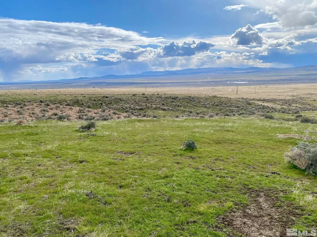 11555 Brooks Canyon Lovelock NV 89419
