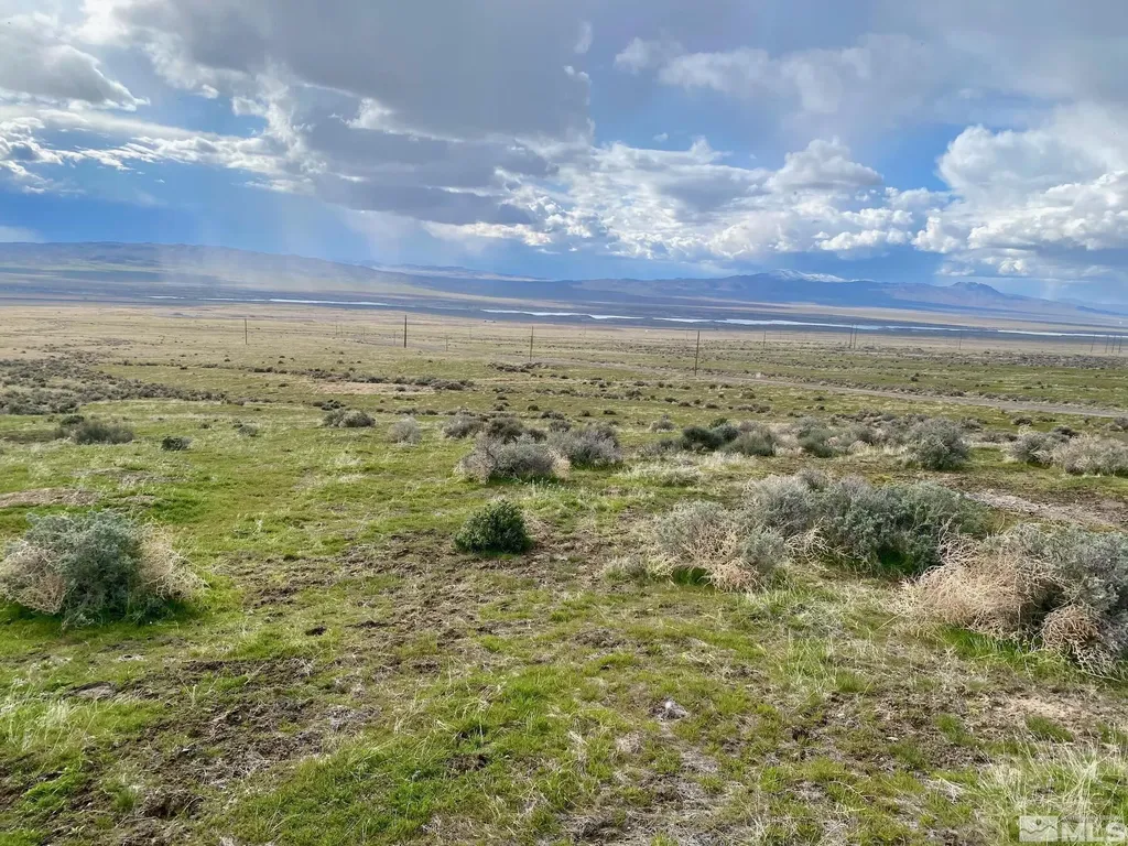 11555 Brooks Canyon Lovelock NV 89419