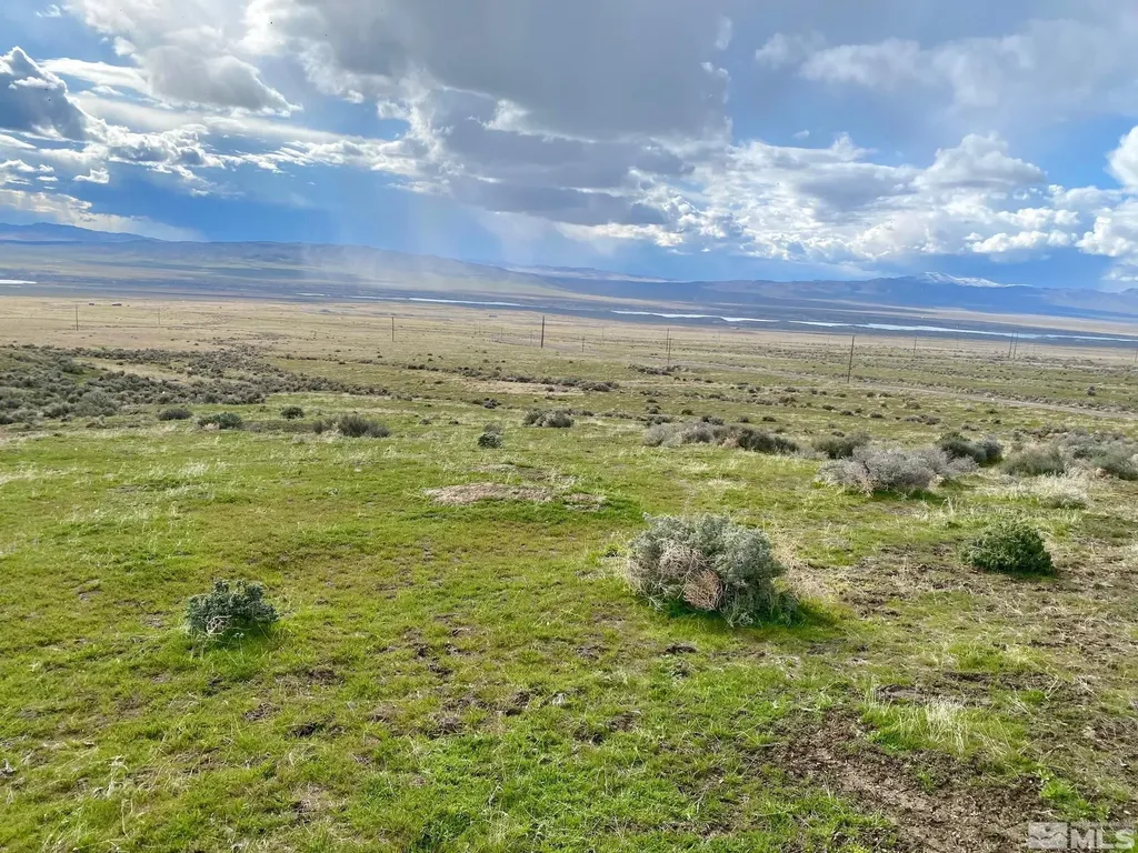 11555 Brooks Canyon Lovelock NV 89419