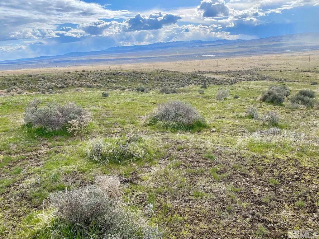 11555 Brooks Canyon Lovelock NV 89419