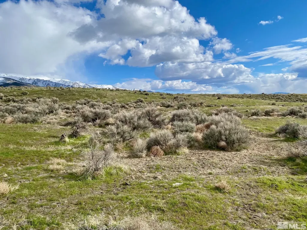 11555 Brooks Canyon Lovelock NV 89419