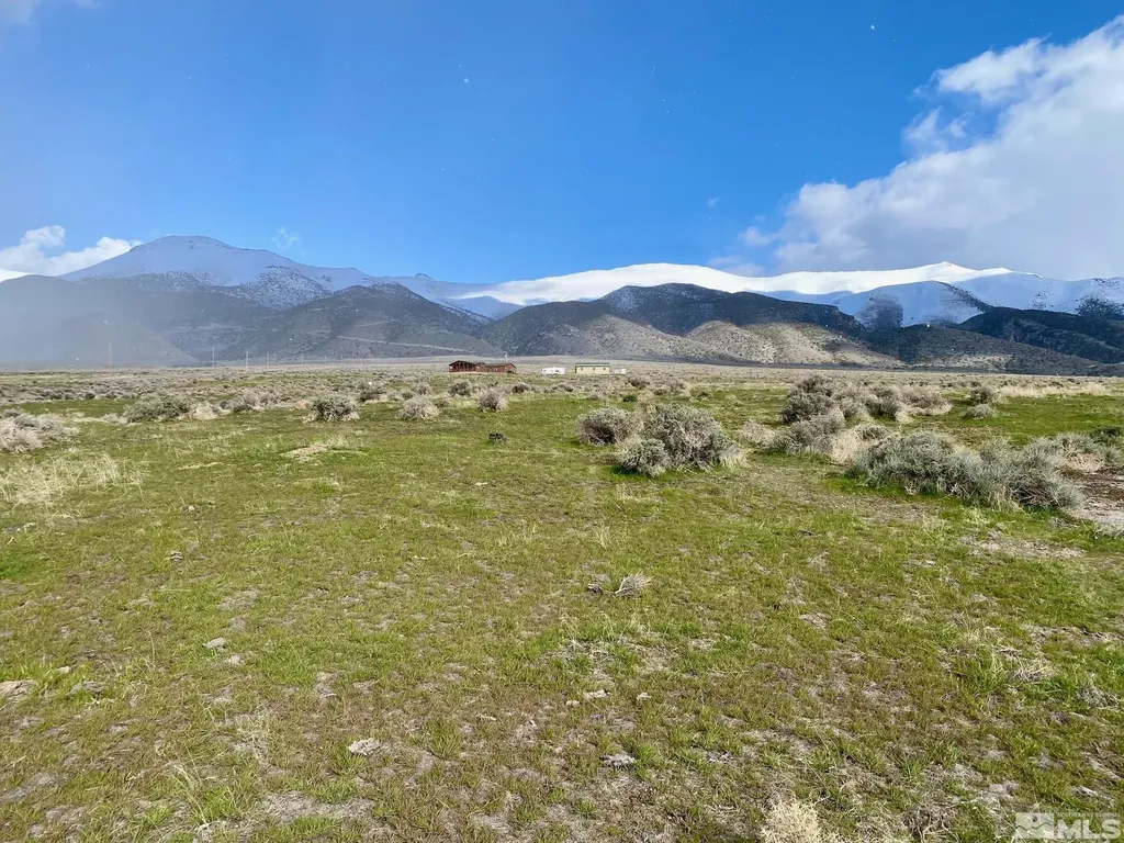 11555 Brooks Canyon Lovelock NV 89419