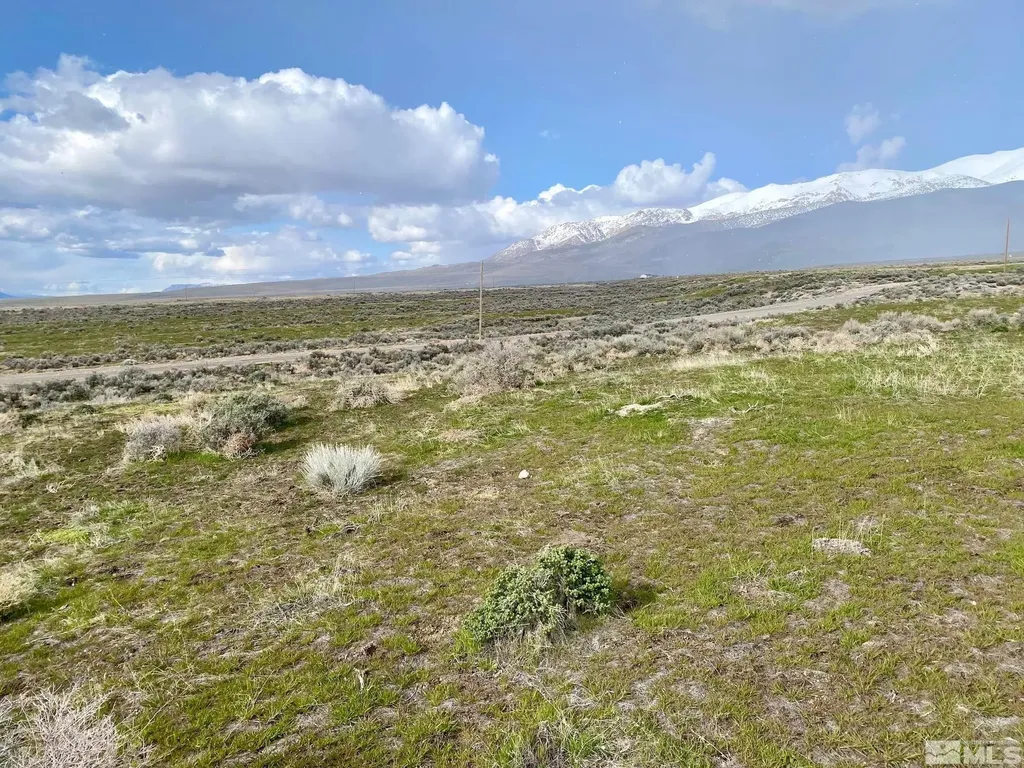 11555 Brooks Canyon Lovelock NV 89419