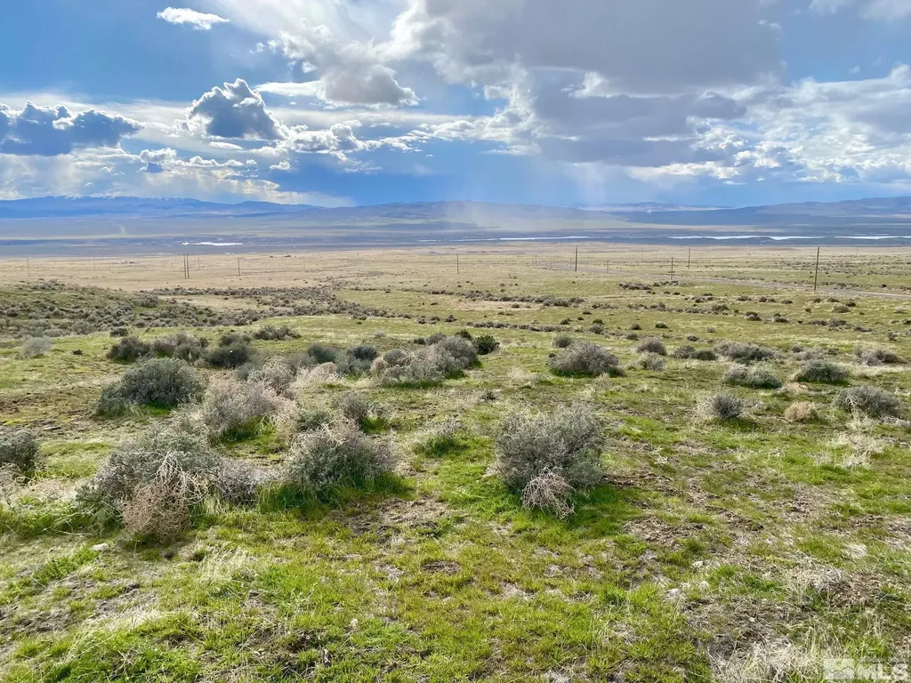 11555 Brooks Canyon Lovelock NV 89419