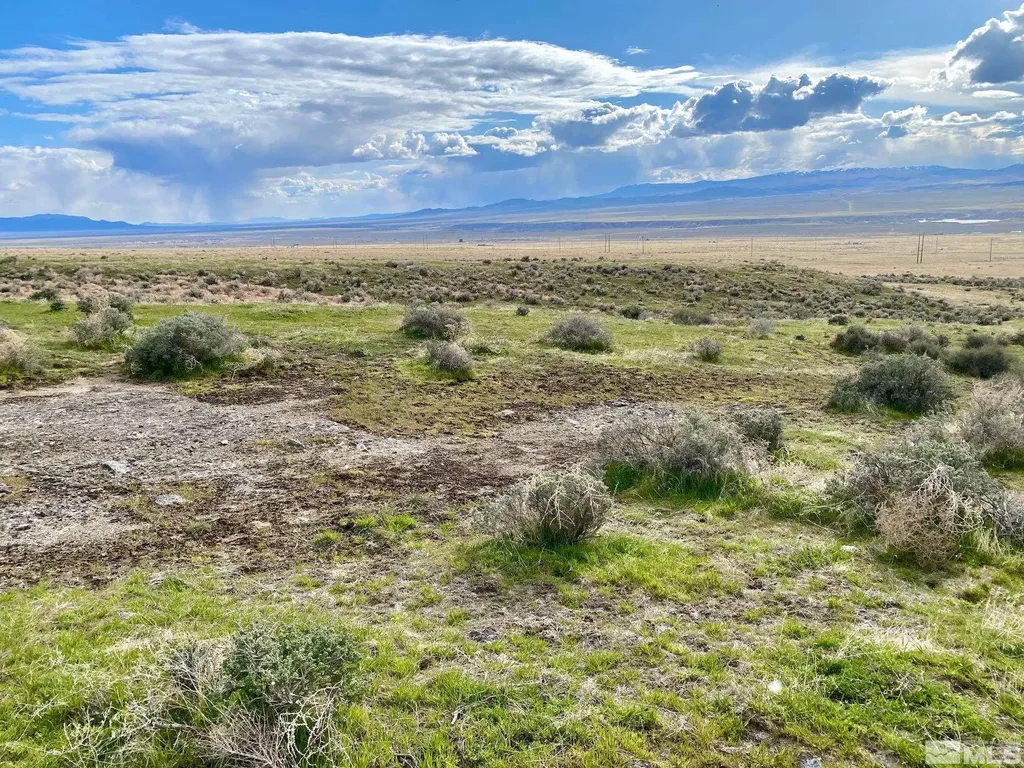 11555 Brooks Canyon Lovelock NV 89419