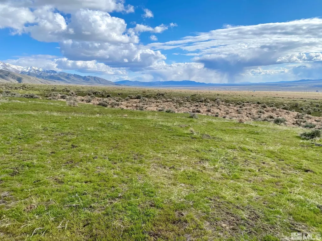 11555 Brooks Canyon Lovelock NV 89419