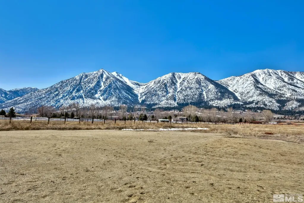 584 Fork Vista Gardnerville NV 89460