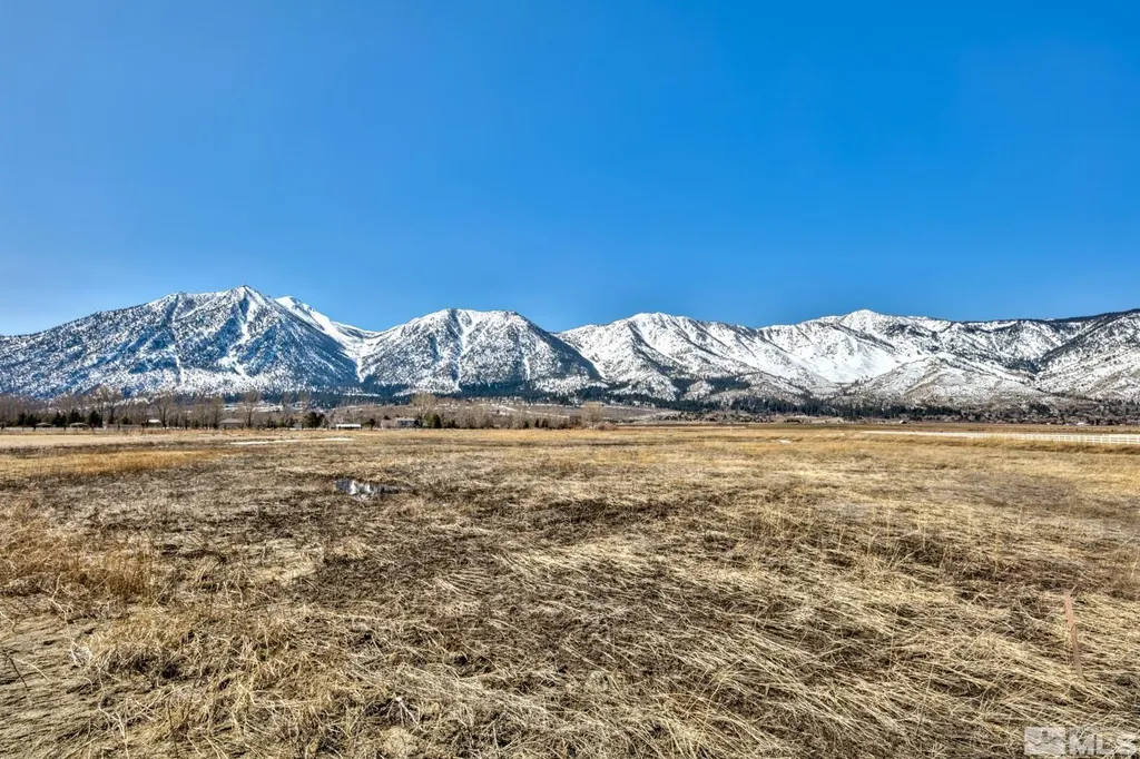584 Fork Vista Gardnerville NV 89460