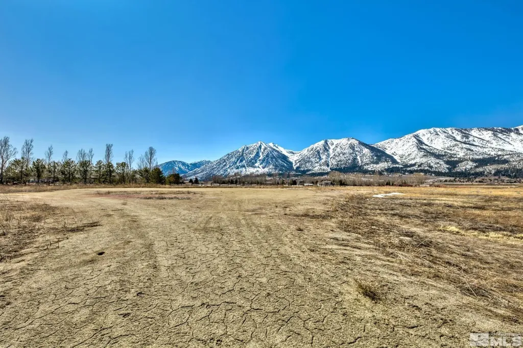 584 Fork Vista Gardnerville NV 89460