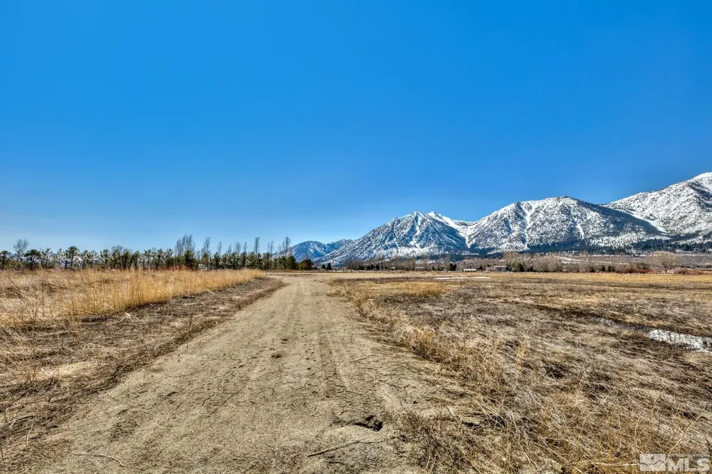 584 Fork Vista Gardnerville NV 89460