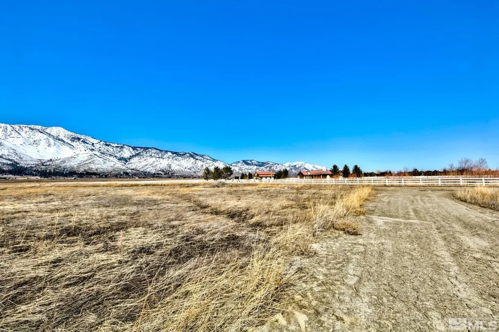 584 Fork Vista Gardnerville NV 89460
