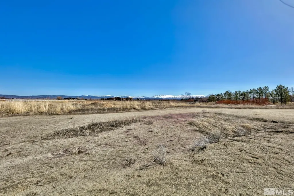 584 Fork Vista Gardnerville NV 89460