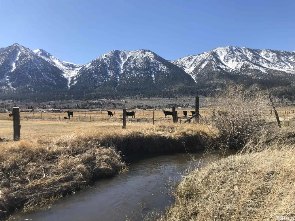 584 Fork Vista Gardnerville NV 89460