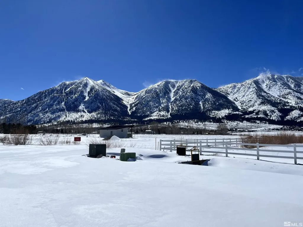 584 Fork Vista Gardnerville NV 89460