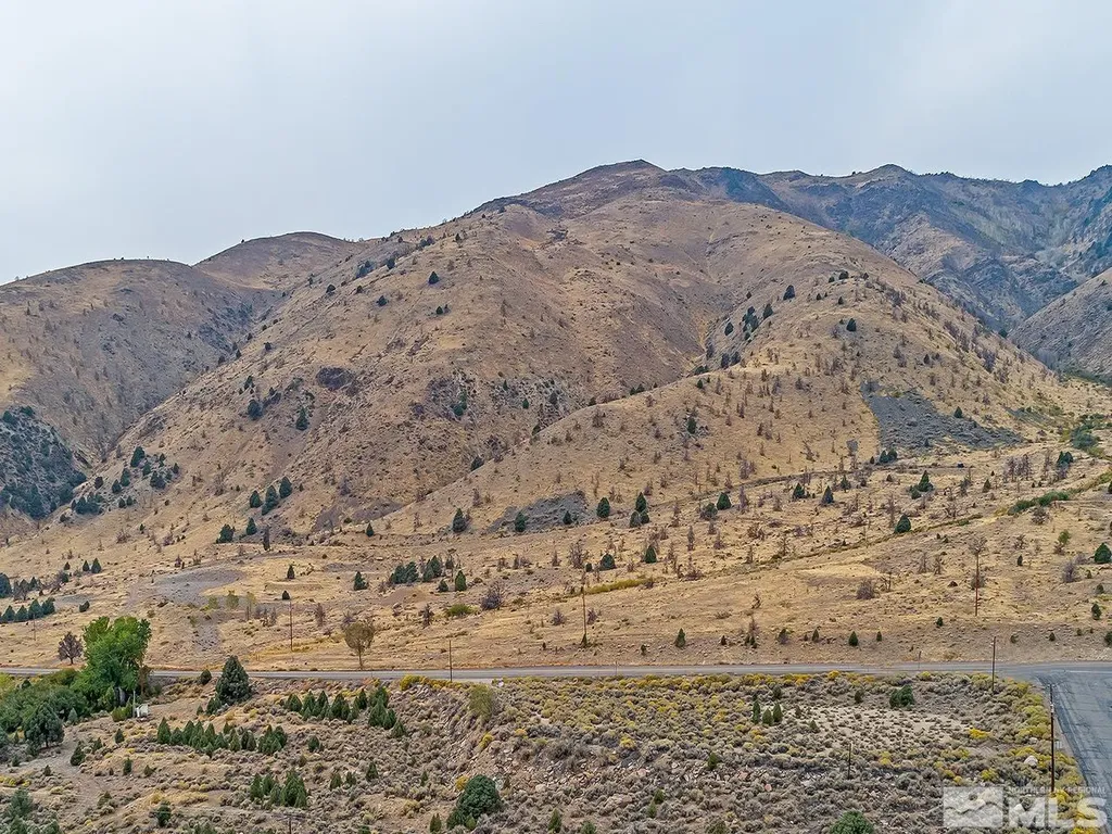2030 Goldfield Gardnerville NV 89410