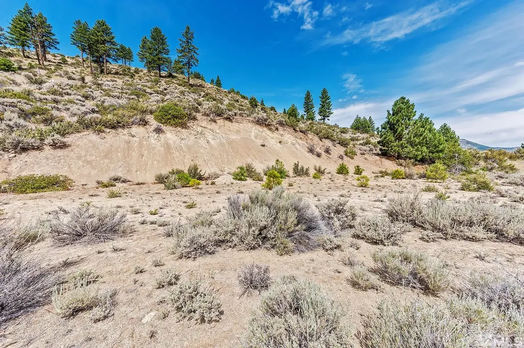 0 Bryan Canyon Washoe Valley NV 89704