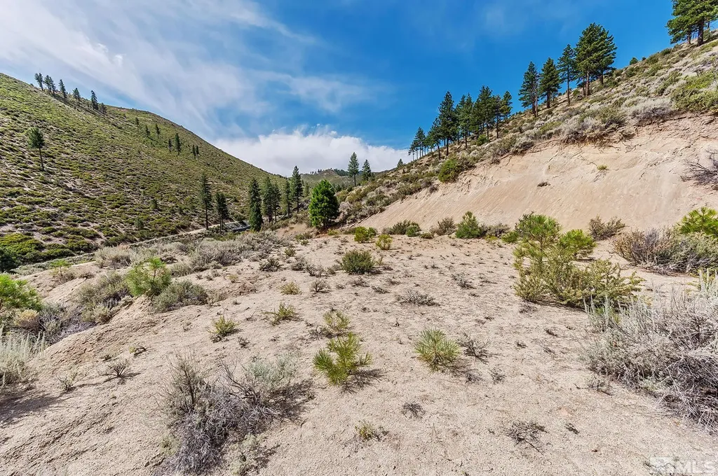 0 Bryan Canyon Washoe Valley NV 89704