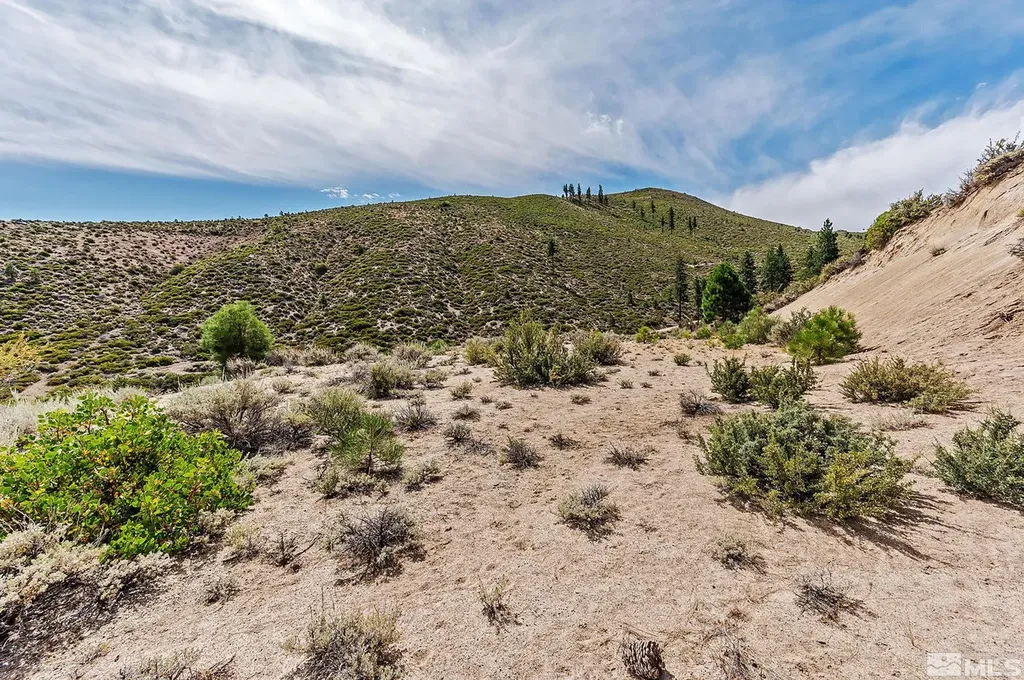 0 Bryan Canyon Washoe Valley NV 89704