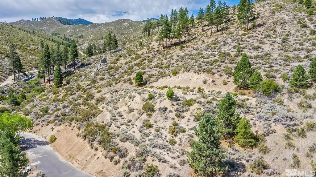 0 Bryan Canyon Washoe Valley NV 89704