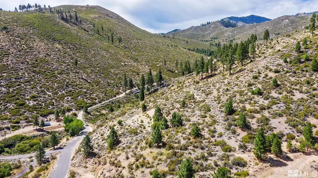 0 Bryan Canyon Washoe Valley NV 89704