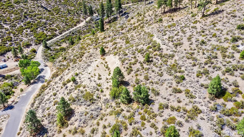 0 Bryan Canyon Washoe Valley NV 89704