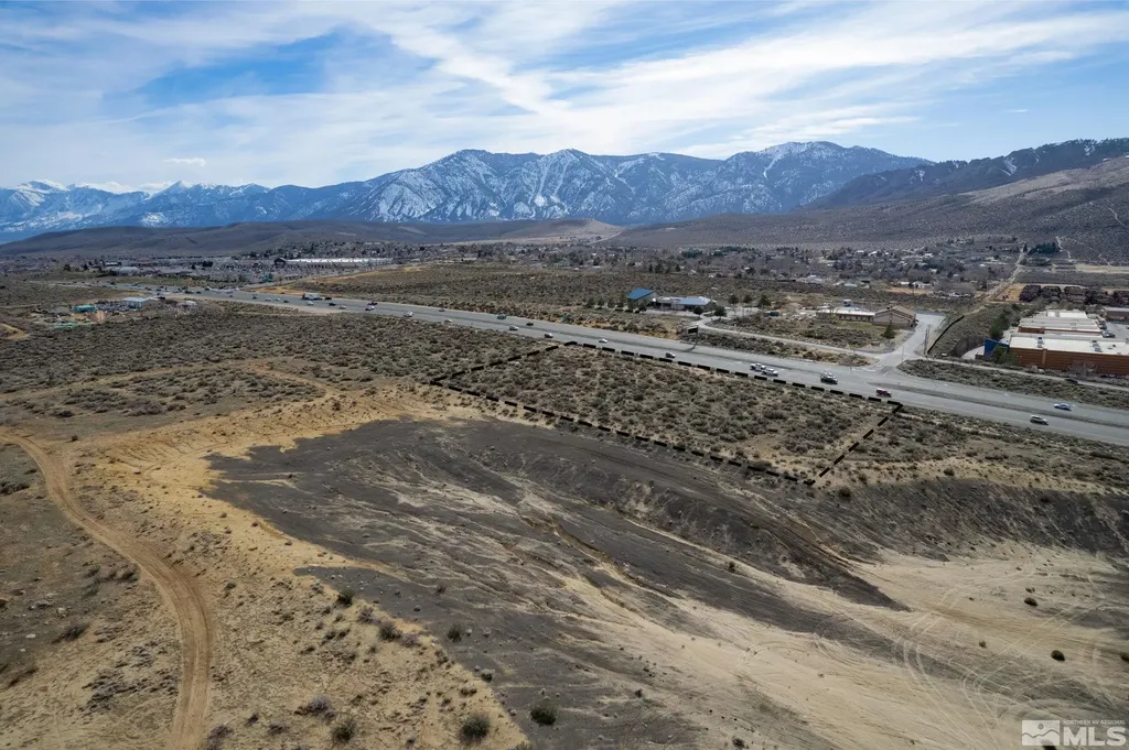 Apn 1420-06-701-001 Minden NV 89705