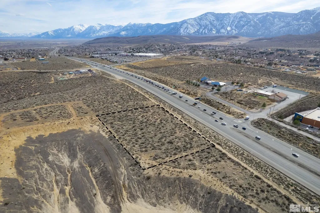 Apn 1420-06-701-001 Minden NV 89705