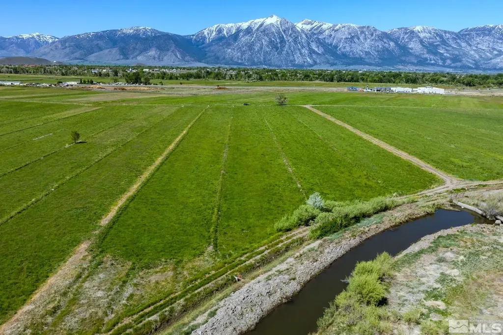 Gardnerville NV, 000 Pinenut