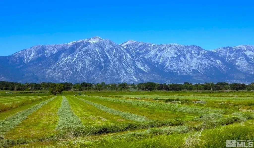 000 Pinenut Gardnerville NV 89410