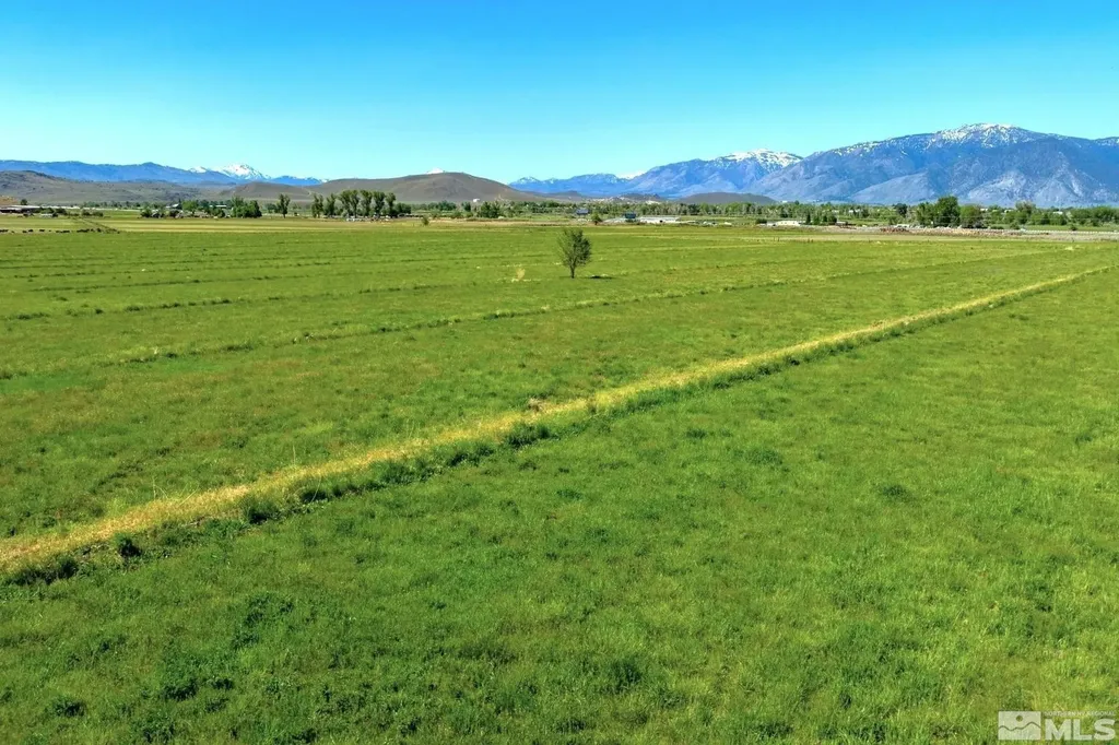 000 Pinenut Gardnerville NV 89410