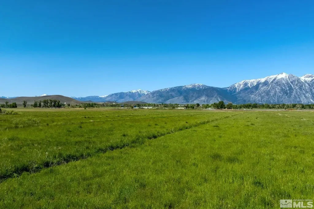000 Pinenut Gardnerville NV 89410