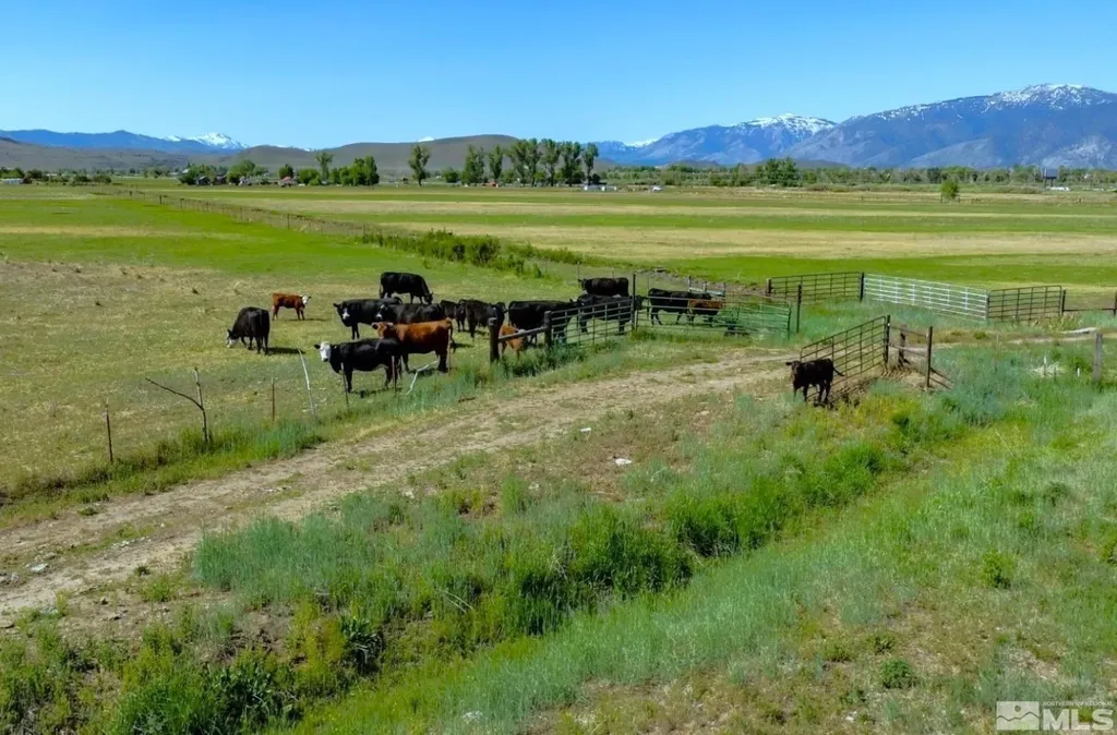 000 Pinenut Gardnerville NV 89410