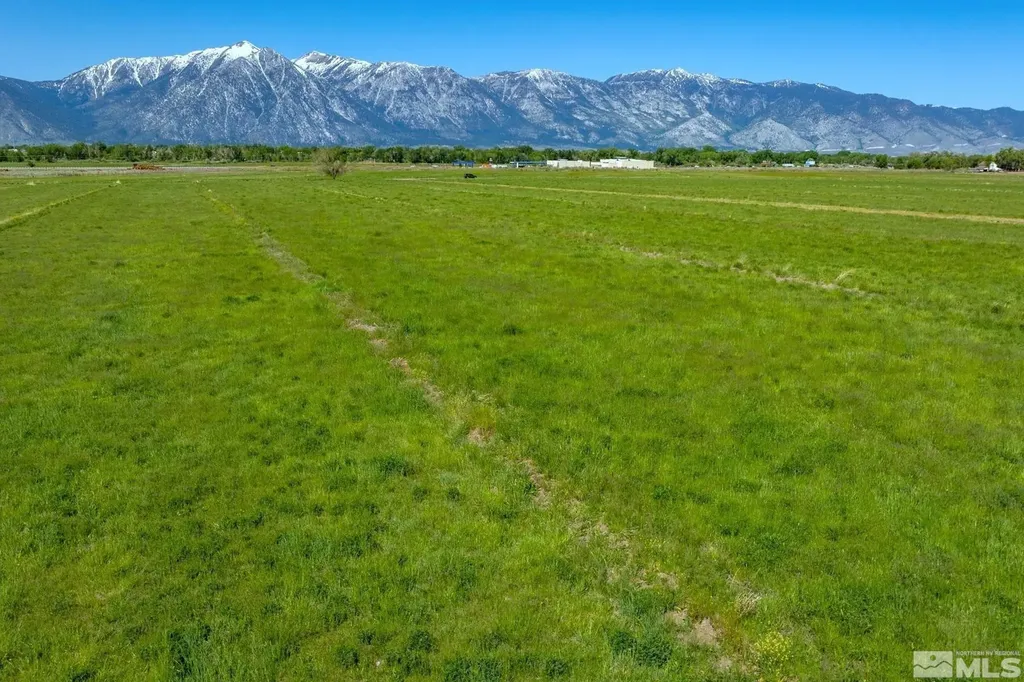 000 Pinenut Gardnerville NV 89410