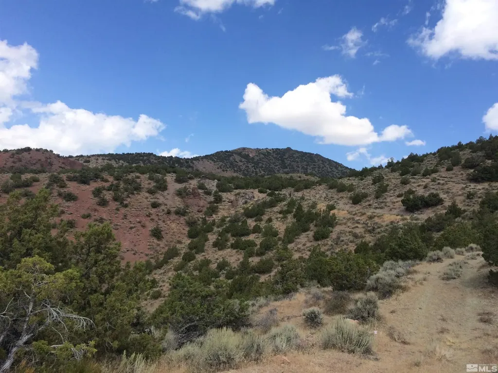 2300 Piute Creek Reno NV 89510