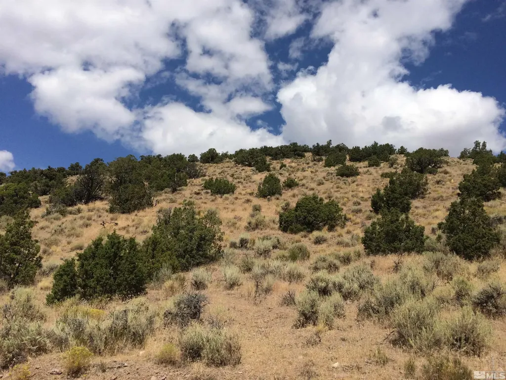 2300 Piute Creek Reno NV 89510