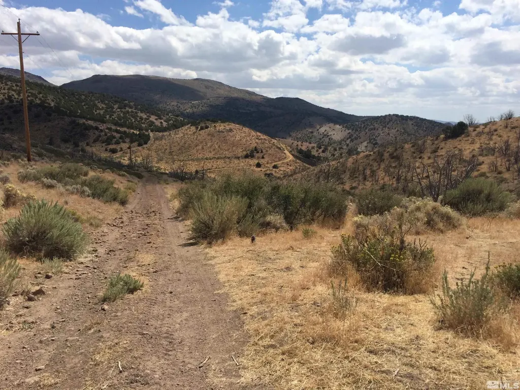 2300 Piute Creek Reno NV 89510