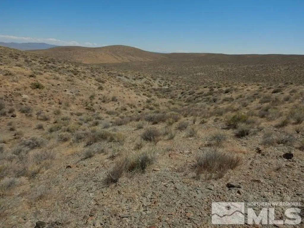 11230 Winter River Lovelock NV 89419