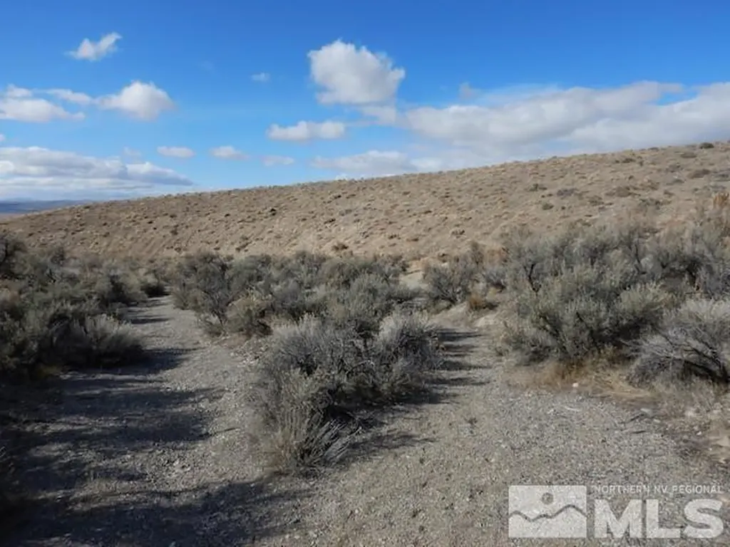 11230 Winter River Lovelock NV 89419