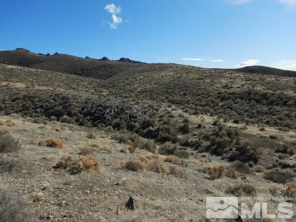 11230 Winter River Lovelock NV 89419