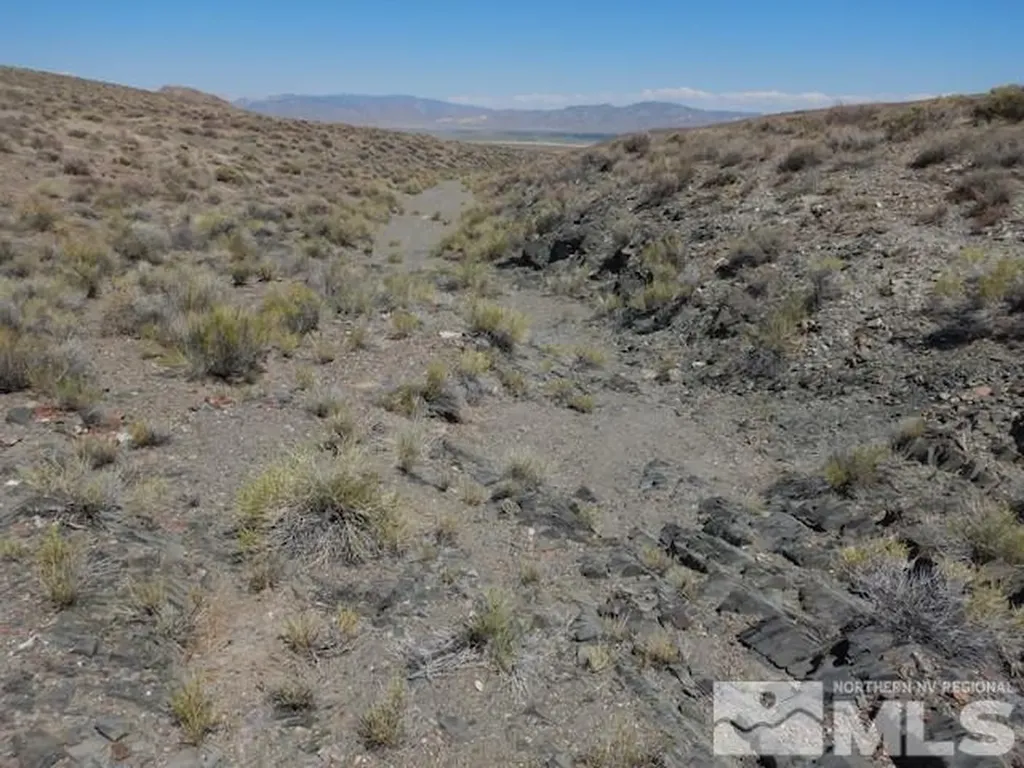11230 Winter River Lovelock NV 89419